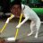 aLeks