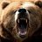 BearZ