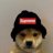 Supreme Corgi