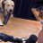 woofy
