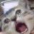 ScreamingKat