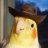 walker texas birb