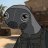 Sgt_Moose137