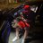 m1ri_nyc
