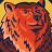 bear_______