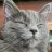 hanercat